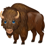 Bison on WhatsApp