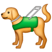 Guide Dog on Samsung