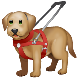 Guide Dog on WhatsApp