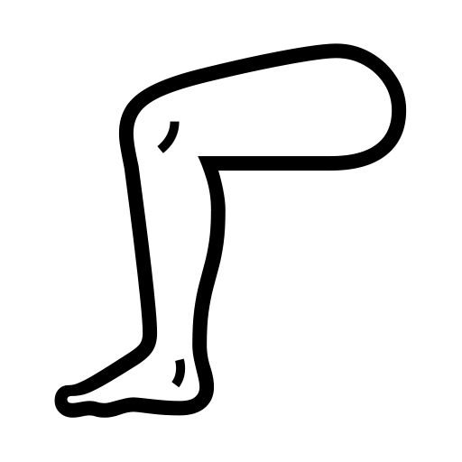 Leg on Noto Emoji
