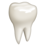 Tooth on WhatsApp