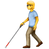 Person With White Cane on WhatsApp