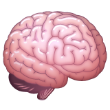 Brain on WhatsApp