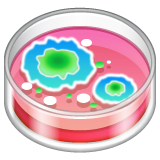 Petri Dish on WhatsApp