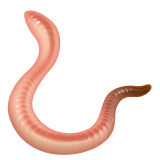 Worm on WhatsApp