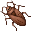 Cockroach on Samsung