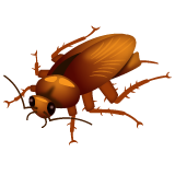 Cockroach on WhatsApp