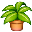 Potted Plant on Samsung