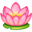 Lotus on Samsung