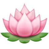 Lotus on WhatsApp