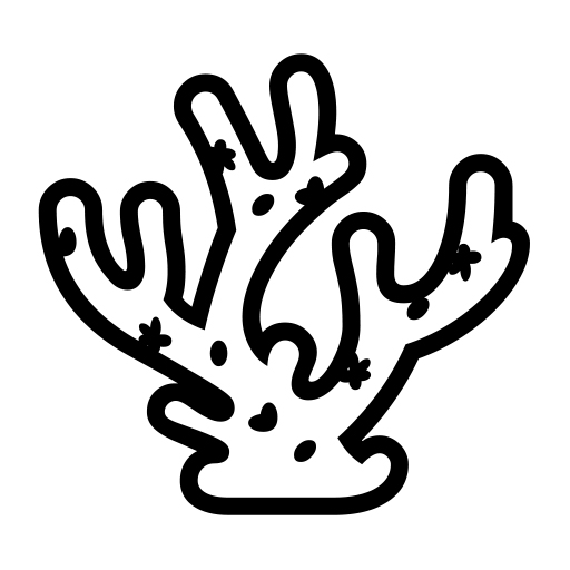 Coral on Noto Emoji