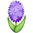Hyacinth on Samsung