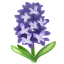 Hyacinth on WhatsApp