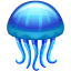 Jellyfish on WhatsApp