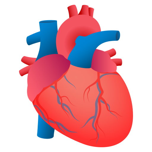 Anatomical Heart on JoyPixels