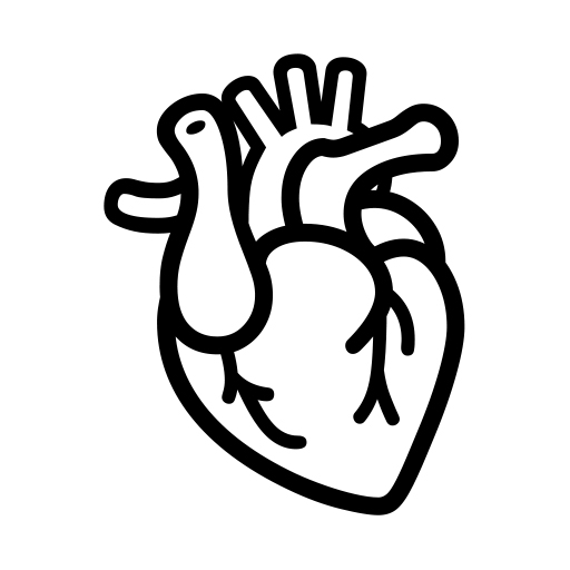 Anatomical Heart on Noto Emoji