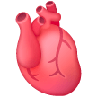 Anatomical Heart on Samsung