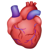 Anatomical Heart on WhatsApp