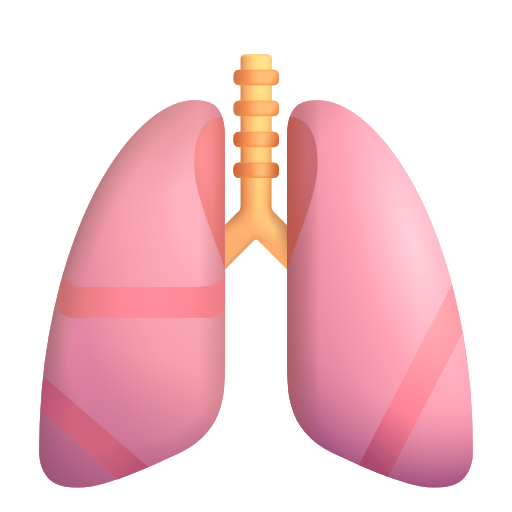 Lungs on Microsoft 3D