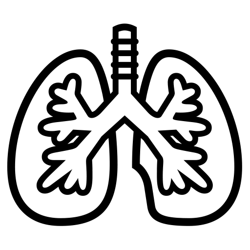 Lungs on Noto Emoji