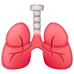 Lungs on Samsung