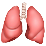 Lungs on WhatsApp