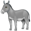 Donkey on WhatsApp