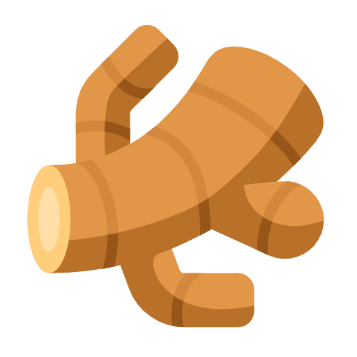Ginger Root on Microsoft Fluent